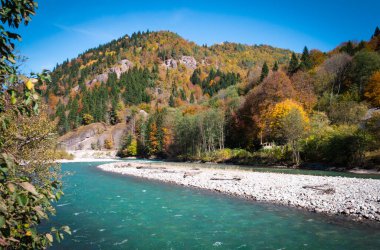 Sonbahar ağaçlarının ortasındaki dağlardaki nehir manzarası. Sonbahar yüksek dağlarda, sonbahar manzarası