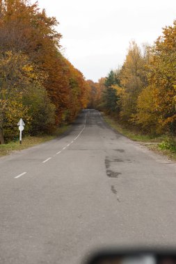 sonbahar orman. güzel manzara