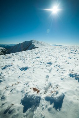 Kış Dağ Manzaralı