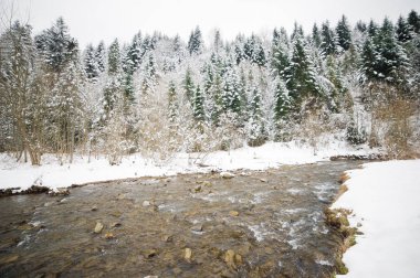 Kış dağ nehir ve orman