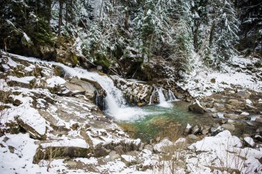 Kış dağ nehir ve orman