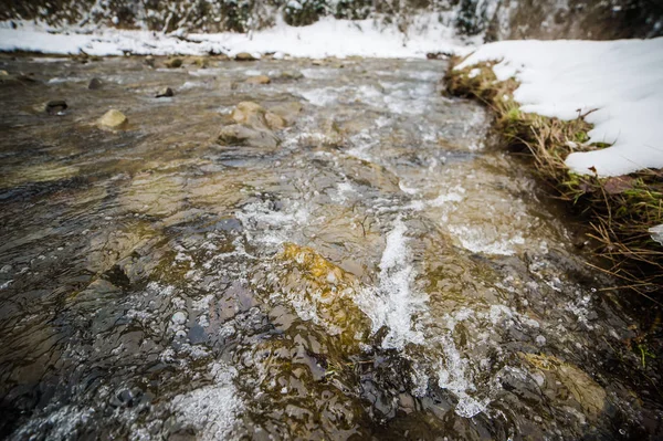 Kış dağ nehir ve orman