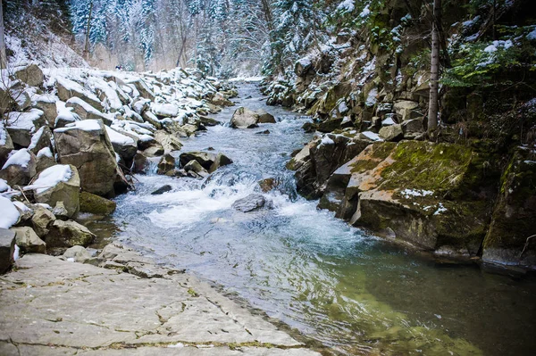 Winter Gebirgsfluss und Wald — Stockfoto