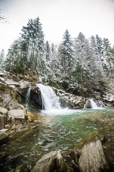 Winter mountain river and forest — Stock Photo, Image