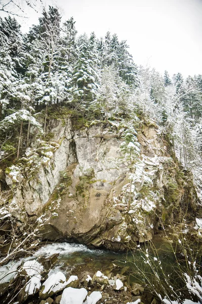 Kış dağ nehir ve orman