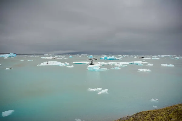 Erime İzlanda buzullar, küresel ısınma — Stok fotoğraf