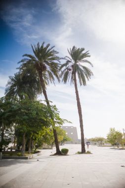 Luxor. Egypt.Biggest Açık Hava Müzesi