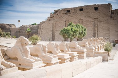 Luxor. Egypt.biggest open air museum clipart
