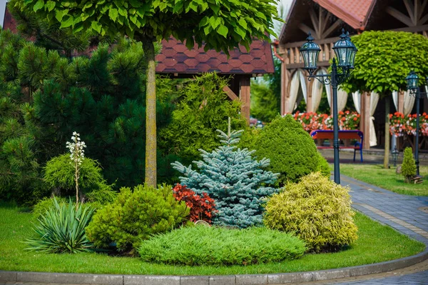 Elements of landscape design. country house hotel. beautiful lawn with ornamental trees and benches — Stock Photo, Image