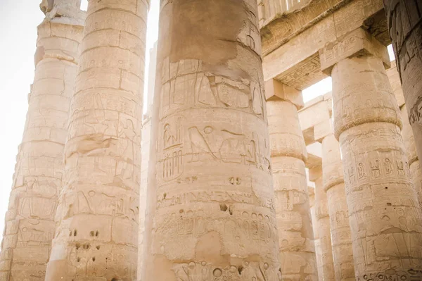 Luxor. Egypt.Biggest Açık Hava Müzesi