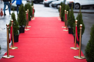 kırmızı halı geleneksel tören ve resmi vesilelerle devlet tarafından izlenen yolu işaretlemek için kullanılır ve son on yıl içinde VIPs ve ünlüler resmi etkinliklerde tarafından kullanılacak genişletilmiş.