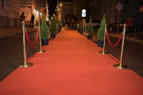 Червоний килим традиційно використовується для позначення маршруту, який приймаються главами держав у церемоніальних та офіційних випадках, і в останні десятиліття був розширений для використання VIP і знаменитостей на офіційних заходах . — стокове фото