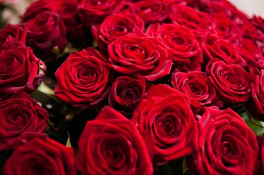 Büyük düğün buket töreni önce