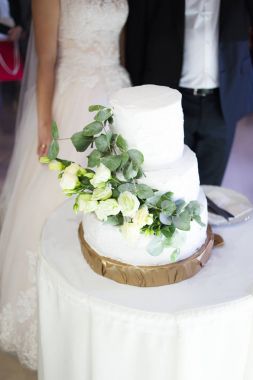 Büyük düğün pastası. Gelin ve damat kesme