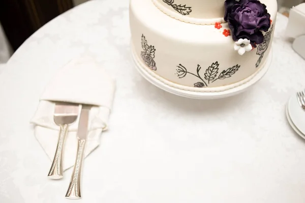 Великий Весільний Торт Наречена Наречений Різання — стокове фото