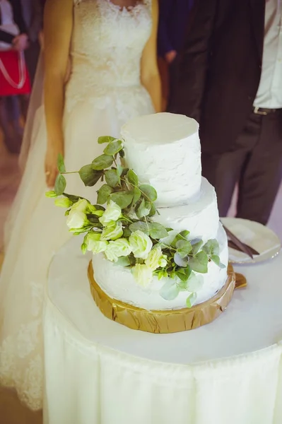 大婚礼蛋糕新娘和新郎切割 — 图库照片