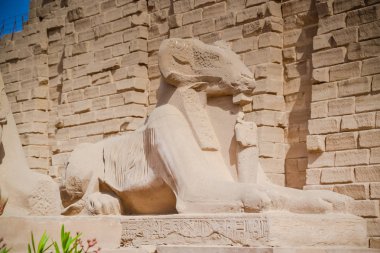 Karnak Tapınağı karmaşık. Luxor. Mısır.