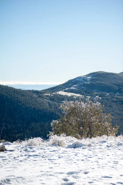 Belles Montagnes Hiver Parc Naturel National Enneigé — Photo