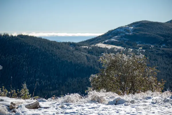 Mooie Winter Bergen Besneeuwde Natiaonal Natuurpark — Stockfoto