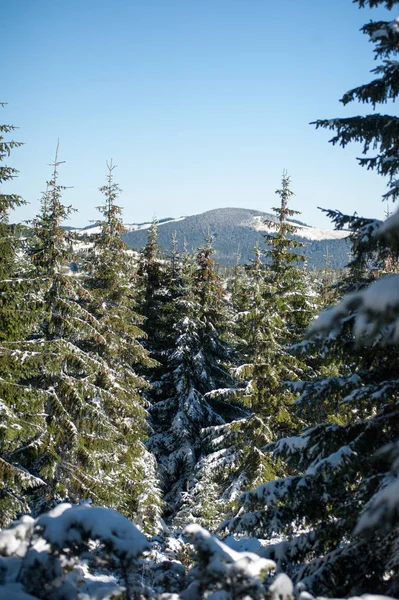 Belles Montagnes Hiver Parc Naturel National Enneigé — Photo