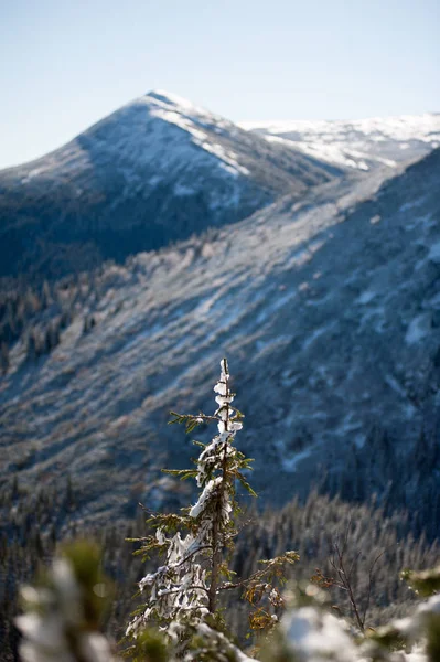 Wunderschöne Winterberge Verschneiter Natiaonaler Naturpark — Stockfoto