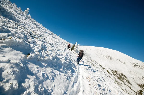 Hermosas Montañas Invierno Parque Natural Nevado Natural —  Fotos de Stock