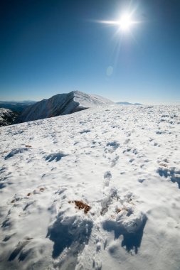Güzel kış dağlar. Ulusal Doğa Parkı. Karlı kış