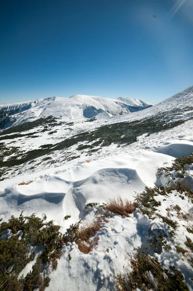 Mooie Winter Bergen Nationale Natuurpark Snowy Winter — Stockfoto