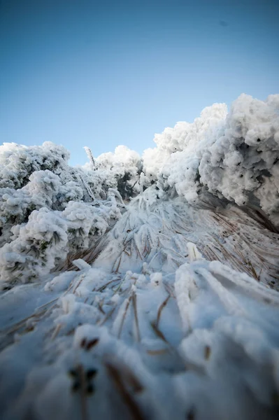 Vackra Vinter Bergen Nationella Naturpark Snörik Vinter — Stockfoto