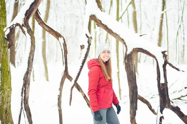 Randonnée Hivernale Montagne Chaleureux Vêtements Touristiques Modernes Femme Randonnée — Photo