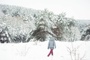 Dağlarda kış yürüyüşü. Sıcak, modern turist kıyafetleri. Yürüyüşe çıkmış bir kadın.