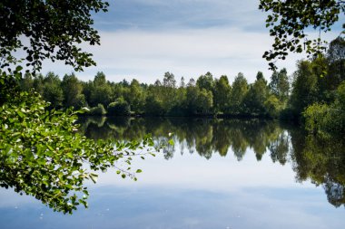 Yaz ormanında sessizlik göleti
