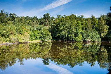 Yaz ormanında sessizlik göleti