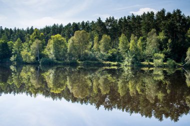 Yaz ormanında sessizlik göleti