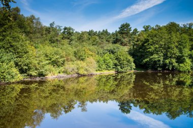 Yaz ormanında sessizlik göleti