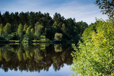 Yaz ormanında sessizlik göleti