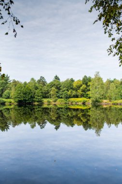 Yaz ormanında sessizlik göleti