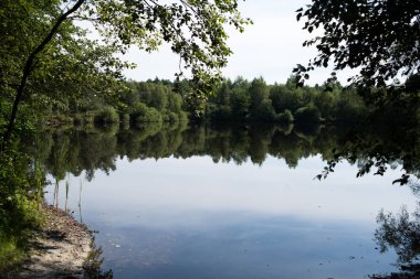 Yaz ormanında sessizlik göleti