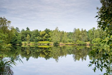 Yaz ormanında sessizlik göleti