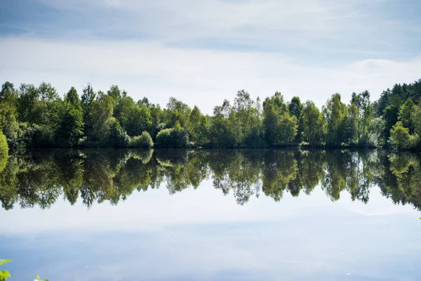 Cichy Staw Letnim Lesie — Zdjęcie stockowe