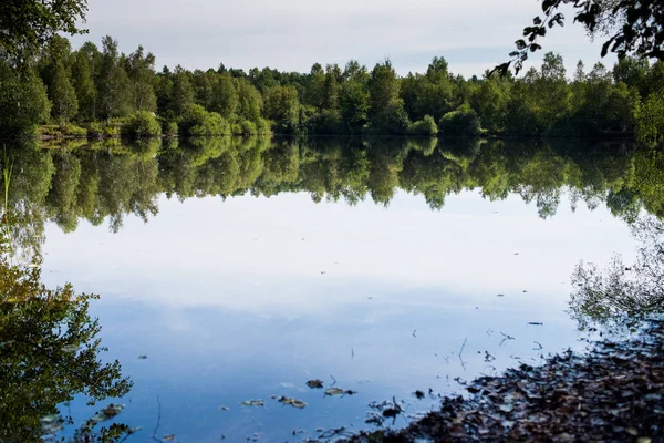 Stille Vijver Het Zomerwoud — Stockfoto