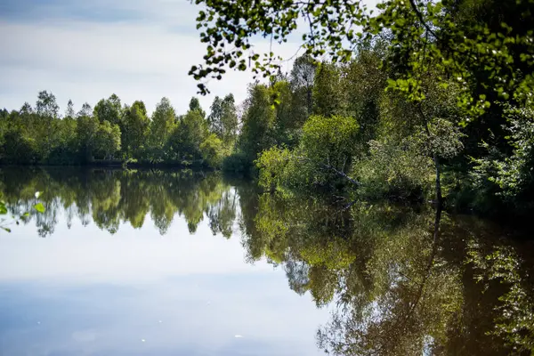Lagoa Silêncio Floresta Verão — Fotografia de Stock