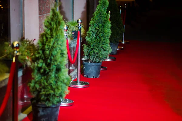 Red carpet at an exclusive event. Award ceremony red carpet Festive event or celebrity entrance concept.