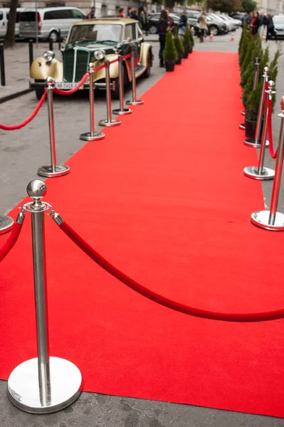 Red carpet at an exclusive event. Award ceremony red carpet Festive event or celebrity entrance concept.