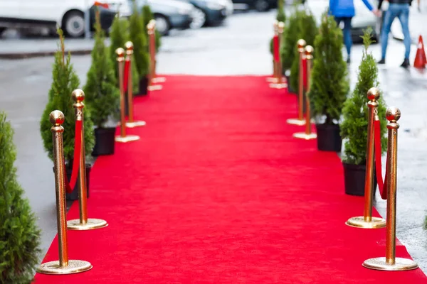 Red carpet at an exclusive event. Award ceremony red carpet Festive event or celebrity entrance concept.