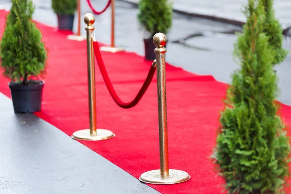 Red carpet at an exclusive event. Award ceremony red carpet Festive event or celebrity entrance concept.