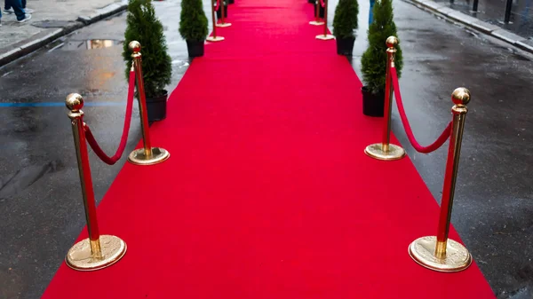 Red carpet at an exclusive event. Award ceremony red carpet Festive event or celebrity entrance concept.