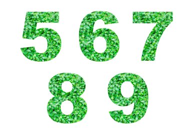 Yeşil çim üzerinde beyaz izole 5,6,7,8,9 sayıda.
