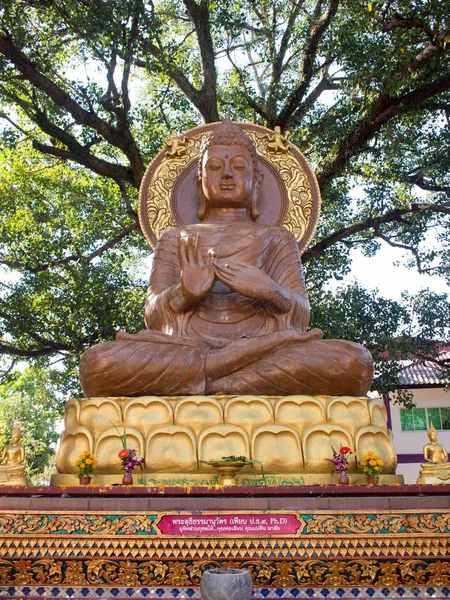 Ağacın altında oturup Buda heykeli. Tayland seyahat Simgesel Yapı. — Stok fotoğraf