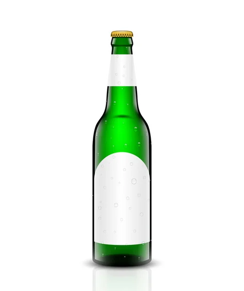 Conjunto de vetor de garrafa de cerveja . — Vetor de Stock